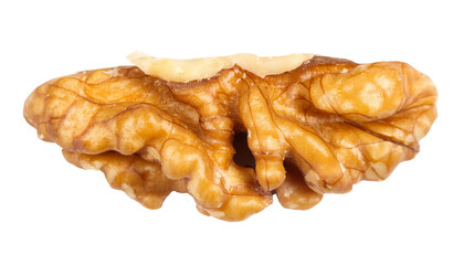 Walnut kernel isolated on transparent background showing its texture