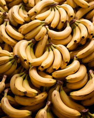 Fresh banana yellow background