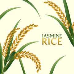 paddy rice premium organic natural product banner logo vector design