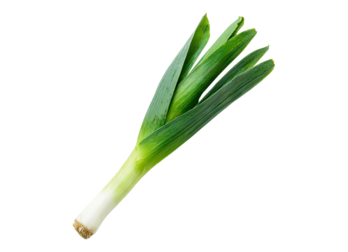 Single leek