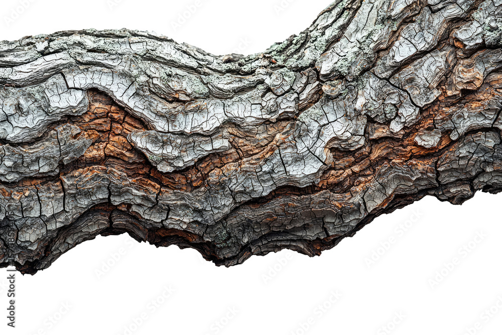 Poster Close-up view of weathered tree bark, showing intricate texture and color variations background removed