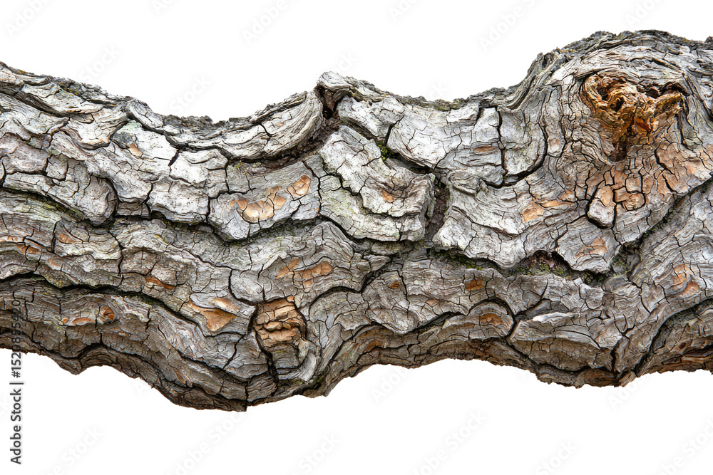 Poster close-up of a weathered, cracked tree bark texture, showing intricate details and natural patterns b