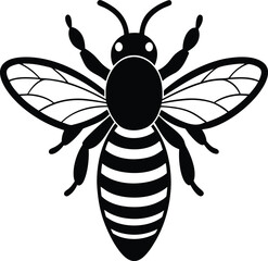 bee on white background