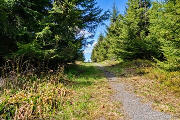 Obraz premium beautiful nature in krusne hory mountains in czechia