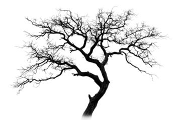 A stark black and white illustration of a tree, branches reaching skyward, a symbol of resilience and nature's beauty background removed