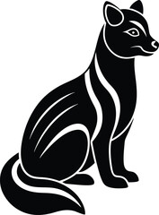 black cat on white background