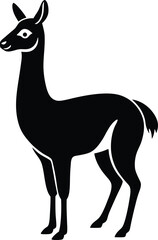 silhouette of a kangaroo