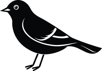 bird on a white background