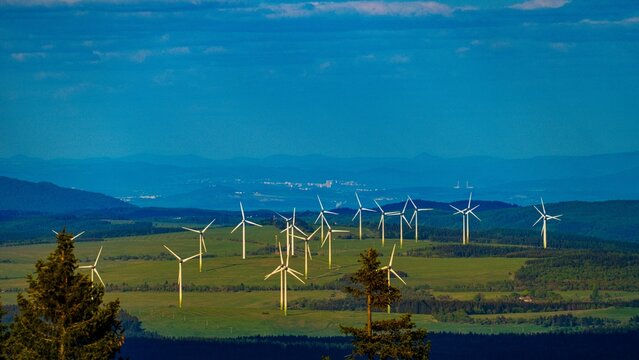 beautiful nature in krusne hory  mountains in czechia