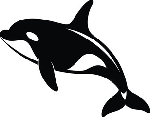 dolphin isolated on white background