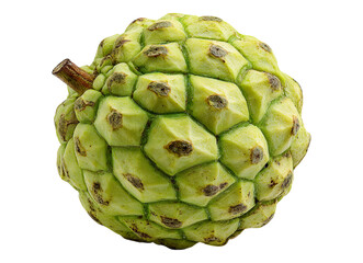 Obraz premium Whole custard apple