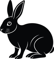 vector illustration of a bunny