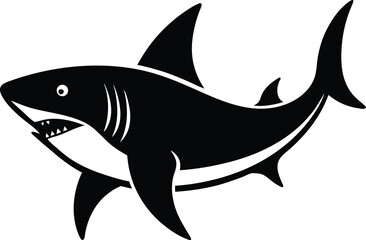 vector illustration of a shark