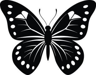 black and white butterfly