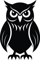 owl on white background