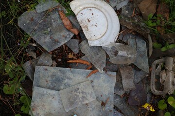 Fragments of a Forgotten Feast Broken Dishware Scattered on the Ground