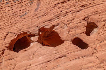 Desert varnish, red Aztec Sandstone outcrops. Rainbow Vista Trail, Valley of Fire State Park, Clark County, Nevada geology. Weathering Tafoni (tafone)