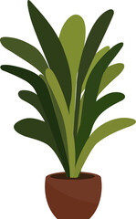 Green houseplant in a brown pot, an indoor decorative element for home and office decor. Isolated natural ornament element.