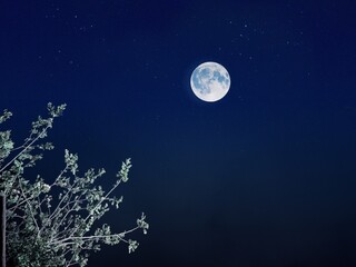 A serene nightscape features a bright full moon shining in a clear, dark blue sky dotted with...