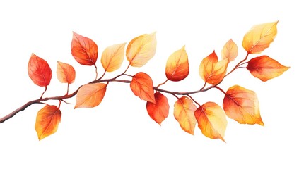 Naklejka premium Watercolor autumn leaves on a branch, clip art on a white background, vector illustration, simple design, high-resolution professional photograph, 