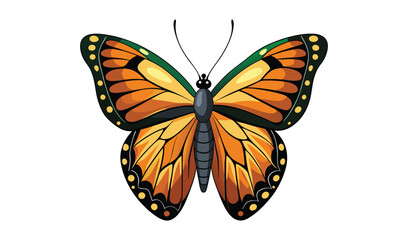 Vibrant orange butterfly illustration on white