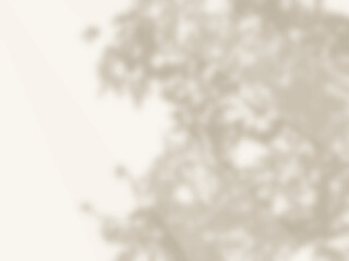 木の影が壁に映るシンプルな背景