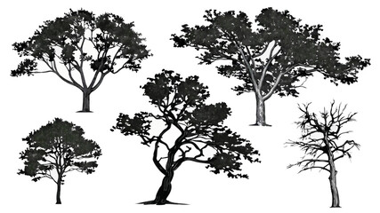Forest background vector illustration editable file tree set trees and leaves 