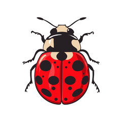 Ladybug's Detailed Profile: A close-up, graphic representation of a ladybug showcases its striking red and black markings in a detailed illustration. © DesignINKZ