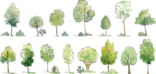 Watercolor Trees Vector Illustration Set on White Background.