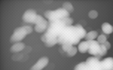 Abstract shadow overlay from foliage on a transparent background.