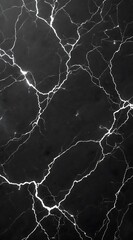Abstract black marble texture with white veining