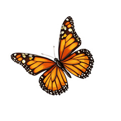 Obraz premium Butterfly flying isolated on transparent background 