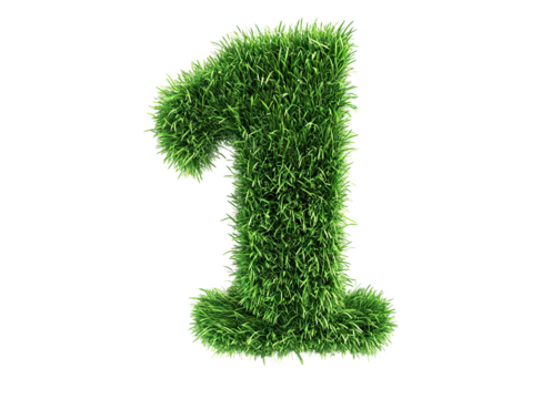 Number one lush grass - Powered by Adobe