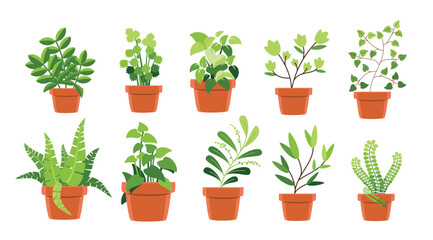 Indoor Houseplants in Clay Pots vector illustration