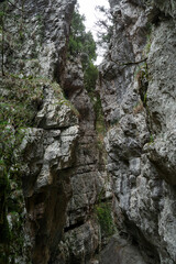 Narrow rocky gorge with towering cliff walls and lush vegetation