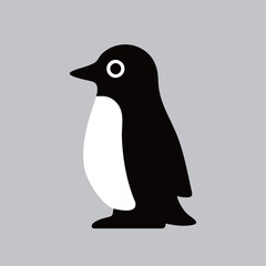 Fototapeta premium A cute black penguin with white belly on gray. Perfect for design or kids art.