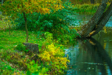 The beginning of autumn in the city park.