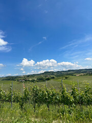 langhe