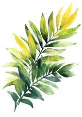 Watercolor tropical leaves frame the background with white space for text, a vector illustration on a white isolated background,