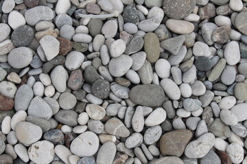 pebbles on the seashore, stones of different sizes and colors