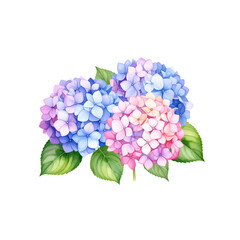 Blume pink Natur Pflanze Fr&uuml;hling Flieder lila aufbl&uuml;hen Sch&ouml;nheit floral bl&uuml;hen Blumenstrauss isoliert Flora Garten Sommer Blatt Veilchen bud sch&ouml;n Farbe Liebe