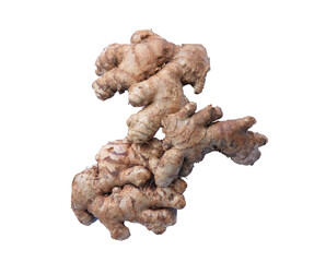 Healthy And Fresh Organic Ginger High quality Photography,  on transparent background and white background  Culinary, Medicinal, and Natural Product Use