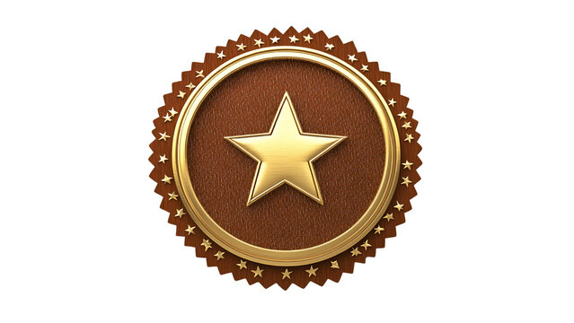 Elegant award certificate badge featuring a golden star and decorative border on black
