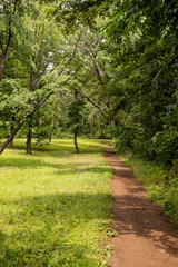 初夏の自然歩道