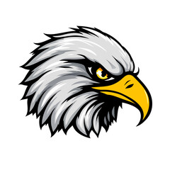 bald eagle vector illustration