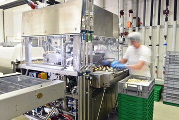 Production of pralines in a factory for the food industry
