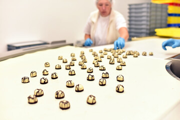 Production of pralines in a factory for the food industry