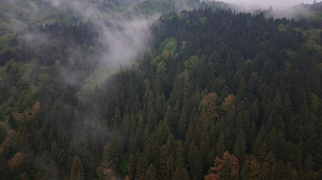 White clouds flowing over green forests in Romania