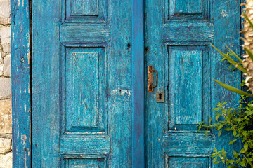 Vibrant blue door surrounded by lush greenery in a tranquil setting