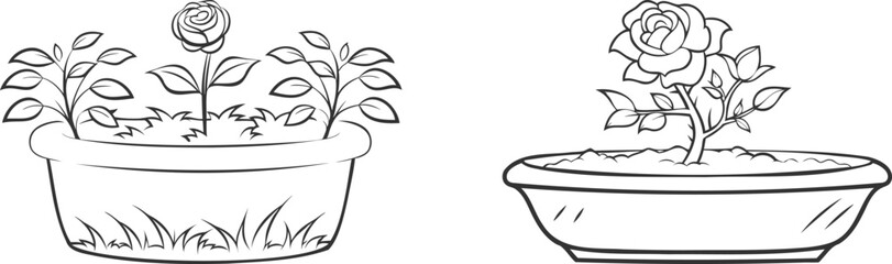 Set of Flower Tubs with Single Rose Flower Tree | One Line Art Vector Design for Botanical Decor